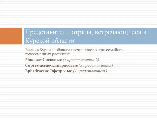 Всего в Курской области насчитывается три семейства голосеменных растений: Pinaceae-Сосновые (8