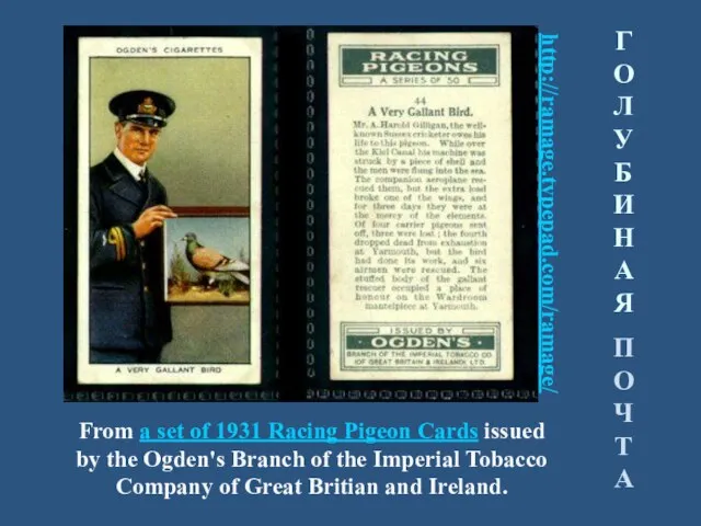 From a set of 1931 Racing Pigeon Cards issued by the