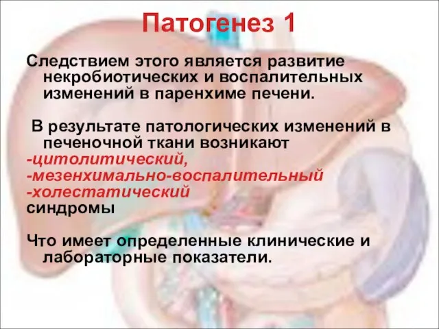 Патогенез 1 Следствием этого является развитие некробиотических и воспалительных изменений в