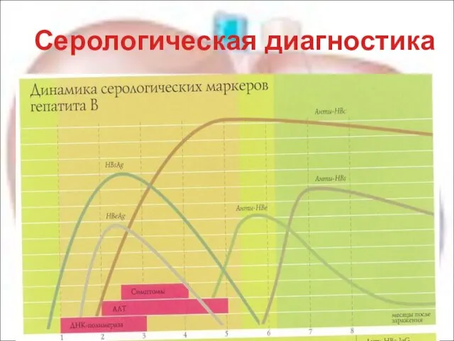 Серологическая диагностика