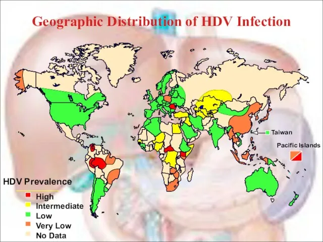 Geographic Distribution of HDV Infection