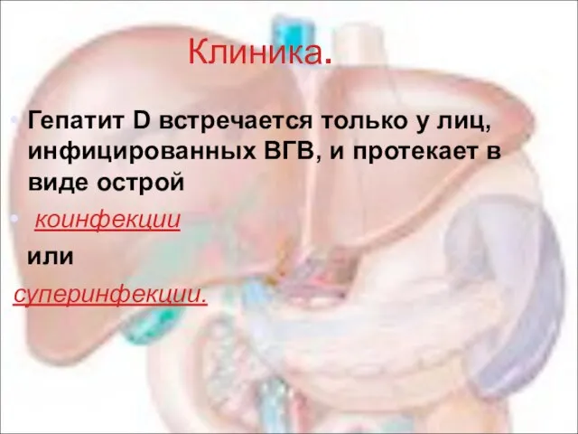 Клиника. Гепатит D встречается только у лиц, инфицированных ВГВ, и протекает