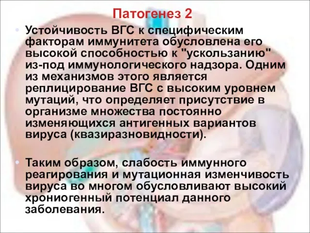 Патогенез 2 Устойчивость ВГС к специфическим факторам иммунитета обусловлена его высокой