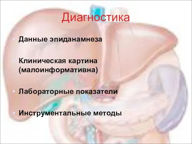 Диагностика Данные эпиданамнеза Клиническая картина (малоинформативна)‏ Лабораторные показатели Инструментальные методы