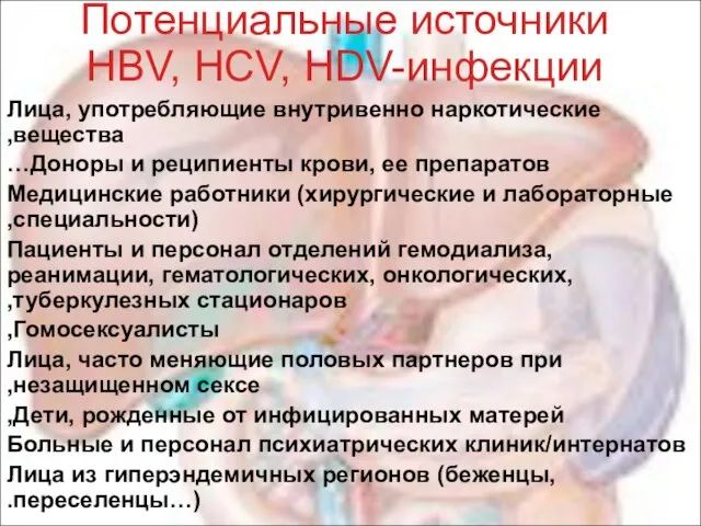 Потенциальные источники HBV, HCV, HDV-инфекции Лица, употребляющие внутривенно наркотические вещества, Доноры