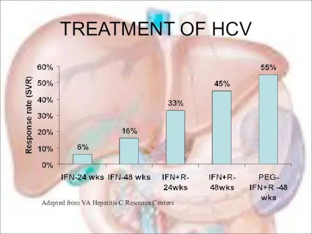 TREATMENT OF HCV Adapted from VA Hepatitis C Resource Centers