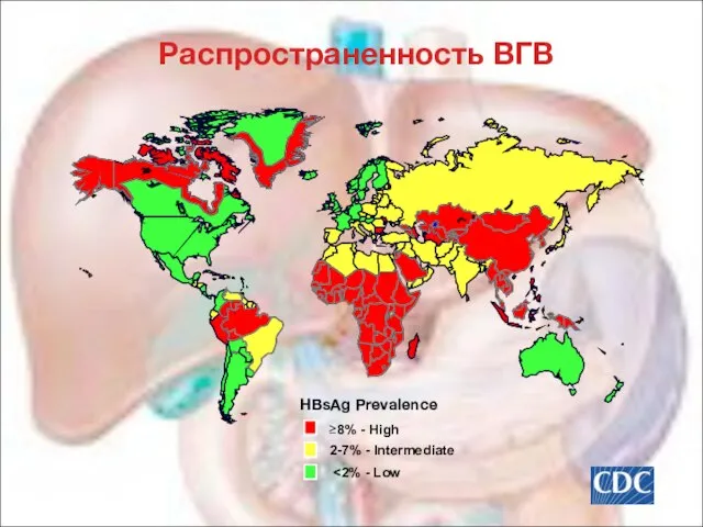 Распространенность ВГВ HBsAg Prevalence ≥8% - High 2-7% - Intermediate