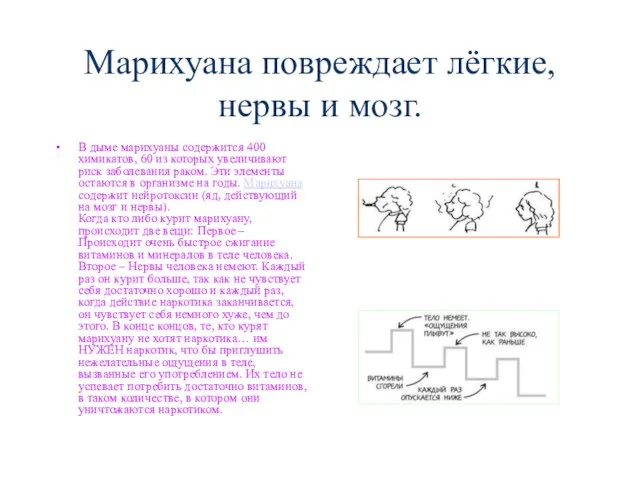 Марихуана повреждает лёгкие, нервы и мозг. В дыме марихуаны содержится 400