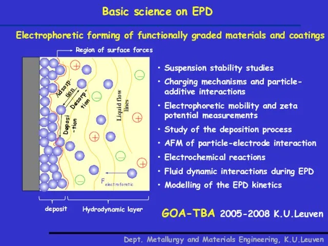 Basic science on EPD Dept. Metallurgy and Materials Engineering, K.U.Leuven Electrophoretic