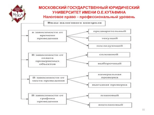 МОСКОВСКИЙ ГОСУДАРСТВЕННЫЙ ЮРИДИЧЕСКИЙ УНИВЕРСИТЕТ ИМЕНИ О.Е.КУТАФИНА Налоговое право – профессиональный уровень