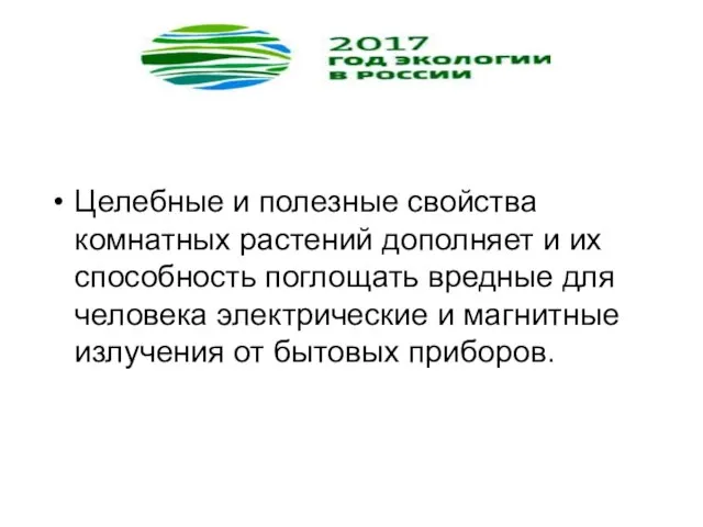 Целебные и полезные свойства комнатных растений дополняет и их способность поглощать