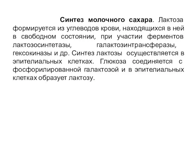 Синтез молочного сахара. Лактоза формируется из углеводов крови, находящихся в ней