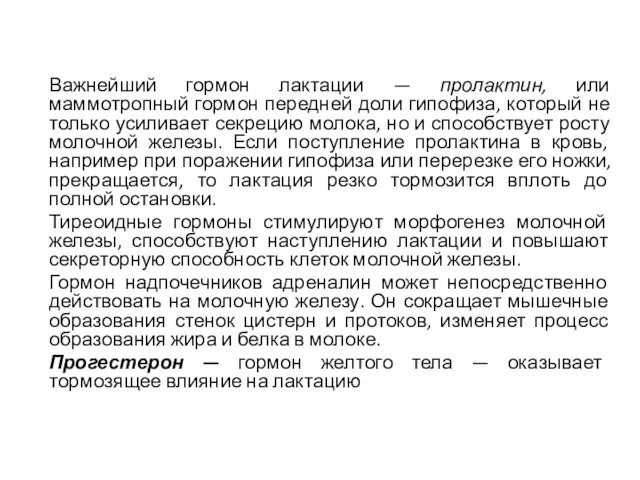 Важнейший гормон лактации — пролактин, или маммотропный гормон передней доли гипофиза,