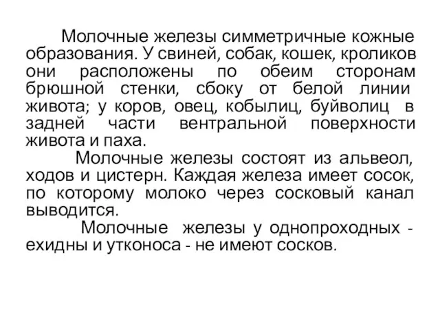 Молочные железы симметричные кожные образования. У свиней, собак, кошек, кроликов они