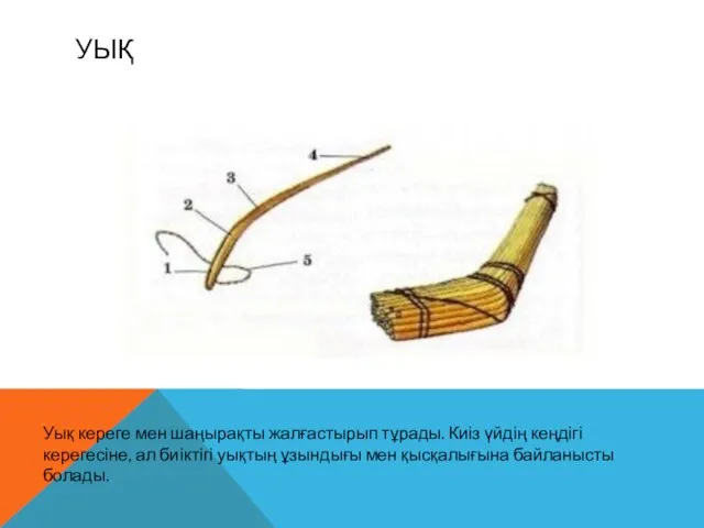 УЫҚ Уық кереге мен шаңырақты жалғастырып тұрады. Киіз үйдің кеңдігі керегесіне,