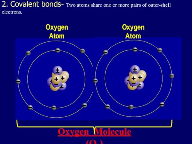 2. Covalent bonds- Two atoms share one or more pairs of