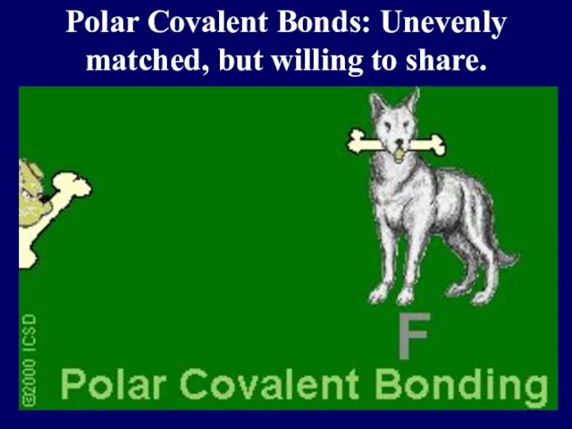Polar Covalent Bonds: Unevenly matched, but willing to share.