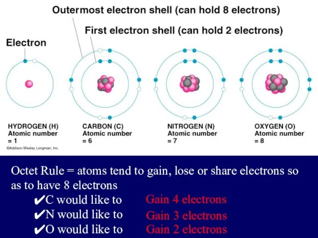 Octet Rule = atoms tend to gain, lose or share electrons
