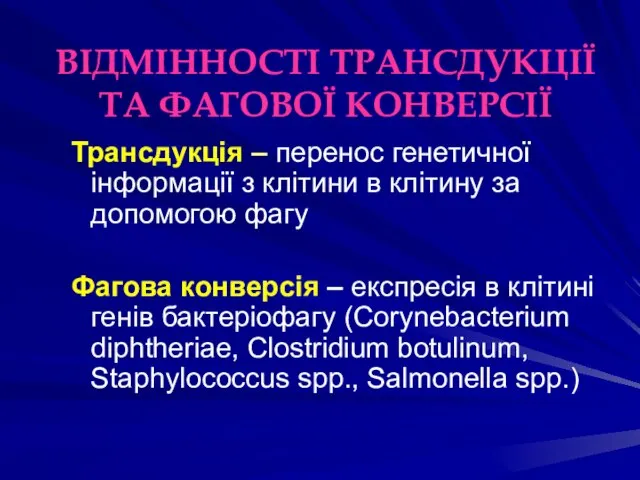 ВІДМІННОСТІ ТРАНСДУКЦІЇ ТА ФАГОВОЇ КОНВЕРСІЇ Трансдукція – перенос генетичної інформації з