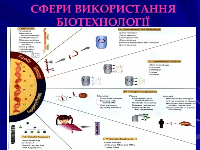 СФЕРИ ВИКОРИСТАННЯ БІОТЕХНОЛОГІЇ