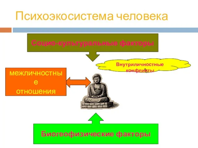 Психоэкосистема человека Социо-культуральные факторы Биогеофизические факторы межличностные отношения Внутриличностные конфликты