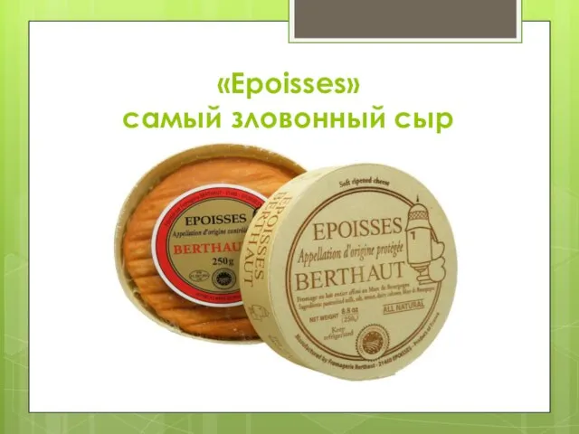 «Epoisses» самый зловонный сыр