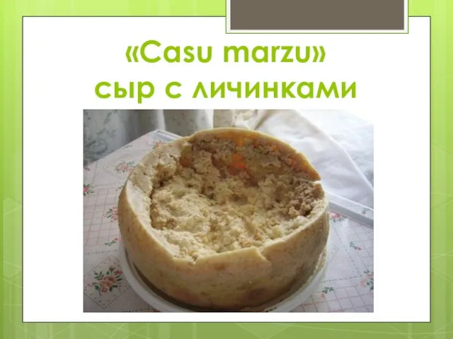 «Casu marzu» сыр с личинками