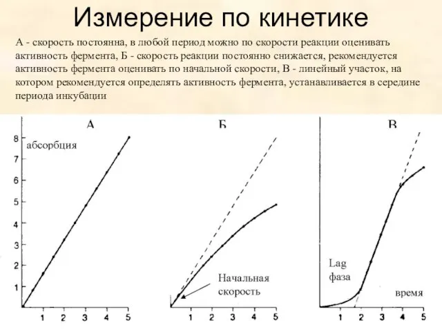 Измерение по кинетике А - скорость постоянна, в любой период можно