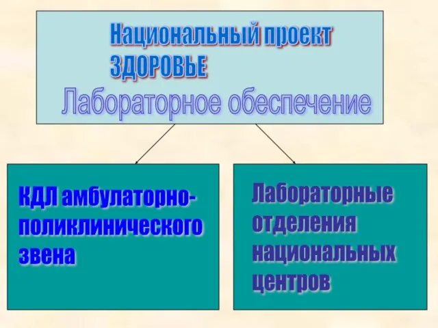 Национальный проект ЗДОРОВЬЕ Лабораторное обеспечение КДЛ амбулаторно- поликлинического звена Лабораторные отделения национальных центров