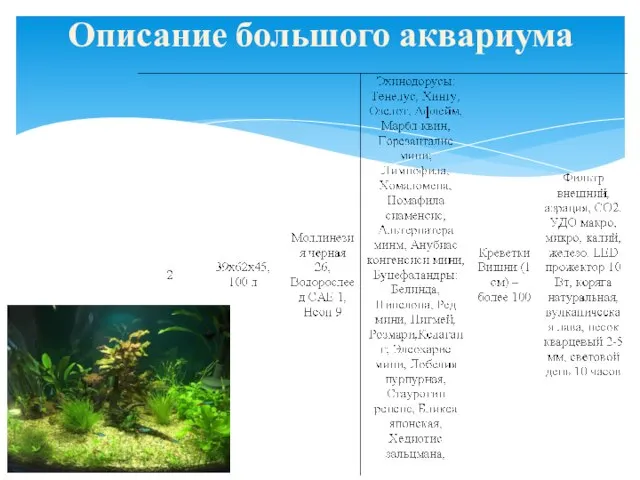 Описание большого аквариума