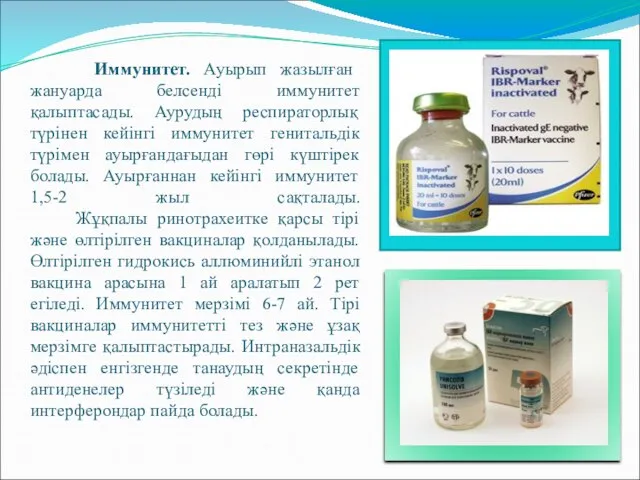 Иммунитет. Ауырып жазылған жануарда белсенді иммунитет қалыптасады. Аурудың респираторлық түрінен кейінгі