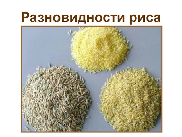Разновидности риса