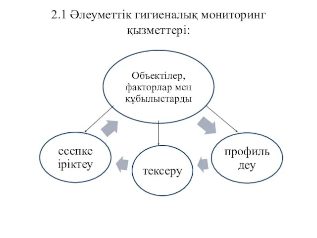 2.1 Әлеуметтік гигиеналық мониторинг қызметтері: