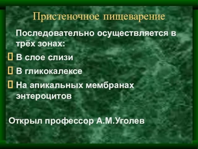 Пристеночное пищеварение Последовательно осуществляется в трёх зонах: В слое слизи В