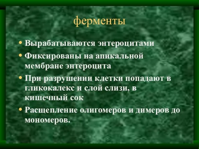 ферменты Вырабатываются энтероцитами Фиксированы на апикальной мембране энтероцита При разрушении клетки