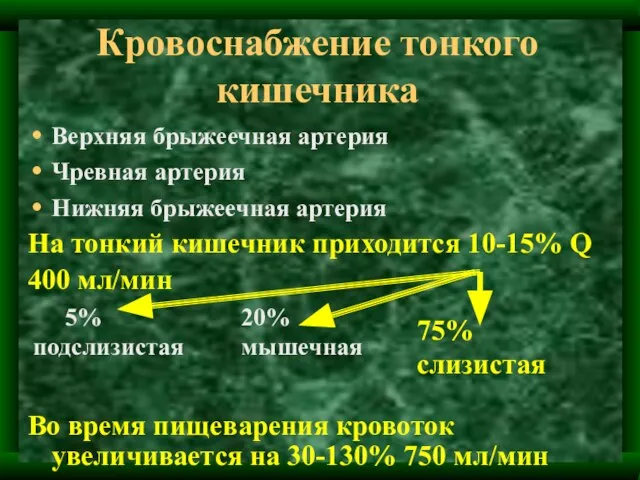 Кровоснабжение тонкого кишечника Верхняя брыжеечная артерия Чревная артерия Нижняя брыжеечная артерия