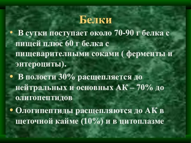 Белки В сутки поступает около 70-90 г белка с пищей плюс