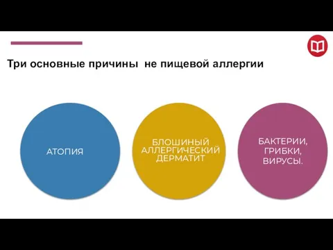 АТОПИЯ БАКТЕРИИ, ГРИБКИ, ВИРУСЫ. БЛОШИНЫЙ АЛЛЕРГИЧЕСКИЙ ДЕРМАТИТ Три основные причины не пищевой аллергии