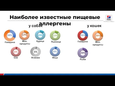 Наиболее известные пищевые аллергены у кошек у собак 34%