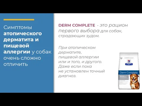 Симптомы атопического дерматита и пищевой аллергии у собак очень сложно отличить