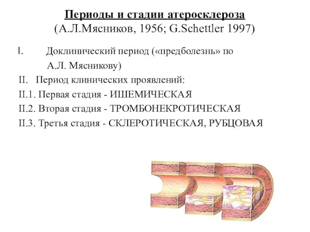 Периоды и стадии атеросклероза (А.Л.Мясников, 1956; G.Schettler 1997) Доклинический период («предболезнь»