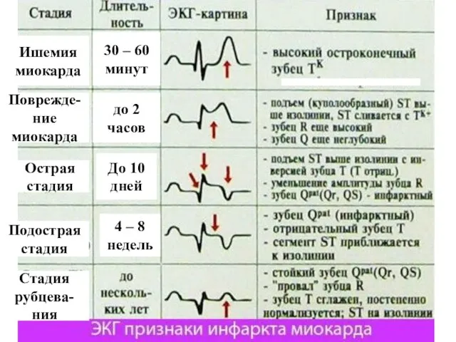 до 2 часов 30 – 60 минут До 10 дней 4