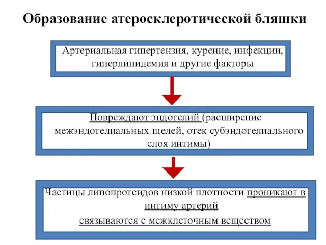 Артериальная гипертензия, курение, инфекции, гиперлипидемия и другие факторы Повреждают эндотелий (расширение