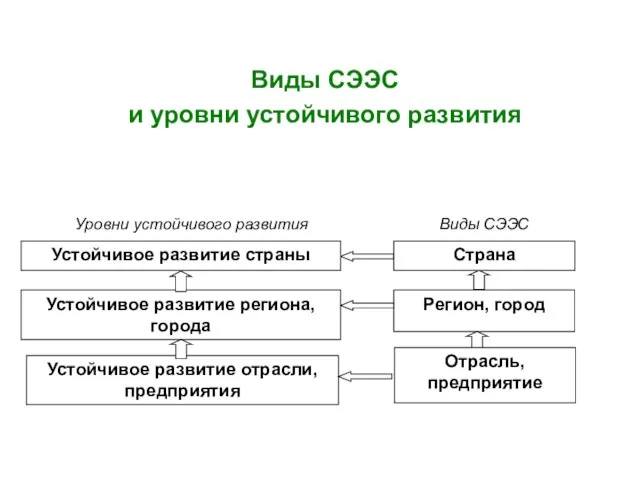 Виды СЭЭС и уровни устойчивого развития Отрасль, предприятие