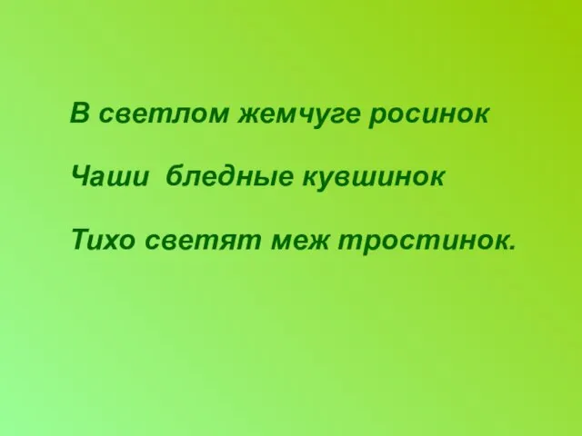 В светлом жемчуге росинок Чаши бледные кувшинок Тихо светят меж тростинок.