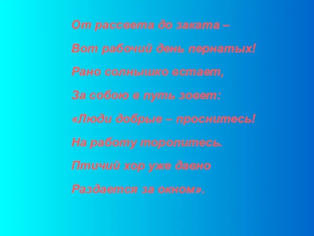 От рассвета до заката – Вот рабочий день пернатых! Рано солнышко