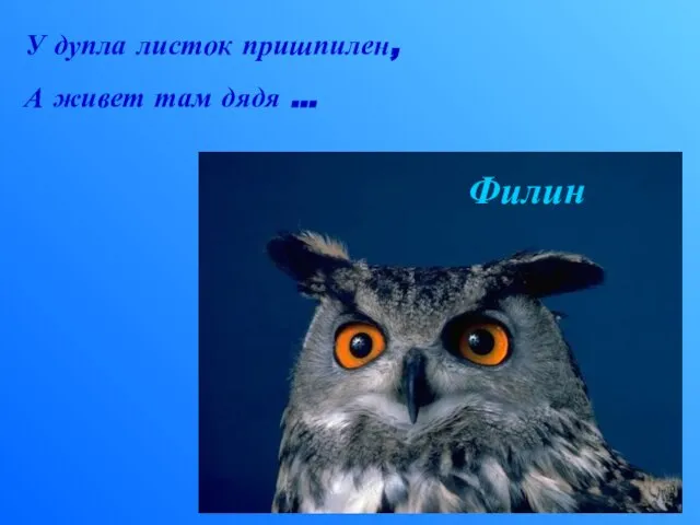 У дупла листок пришпилен, А живет там дядя … Филин