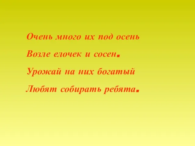 Очень много их под осень Возле елочек и сосен. Урожай на них богатый Любят собирать ребята.