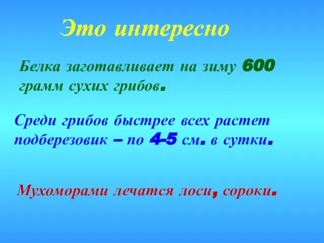 Это интересно Белка заготавливает на зиму 600 грамм сухих грибов. Среди