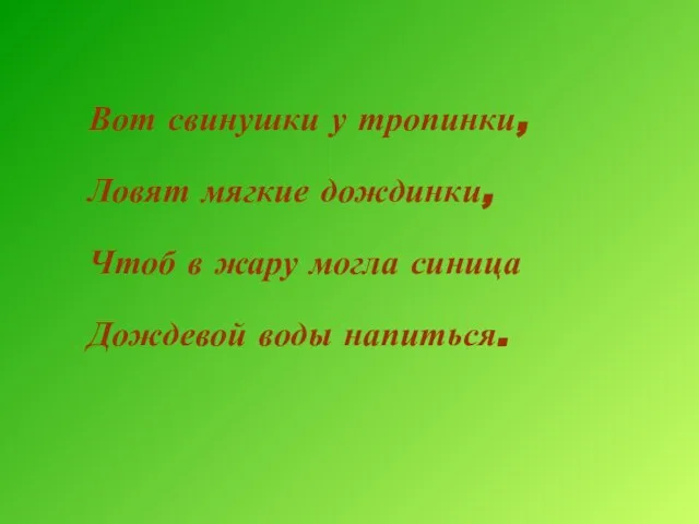 Вот свинушки у тропинки, Ловят мягкие дождинки, Чтоб в жару могла синица Дождевой воды напиться.